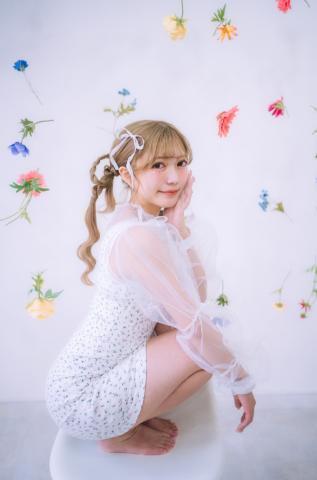 🌰と🐿