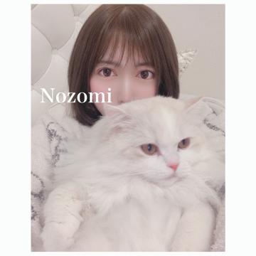 ねこ♡