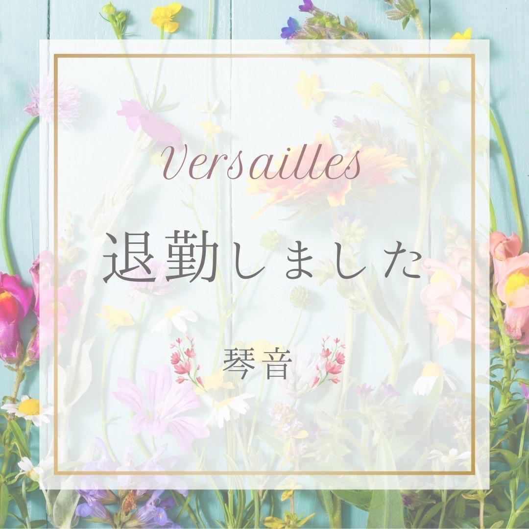 🎵琴音🎵　琴音のご案内状況
