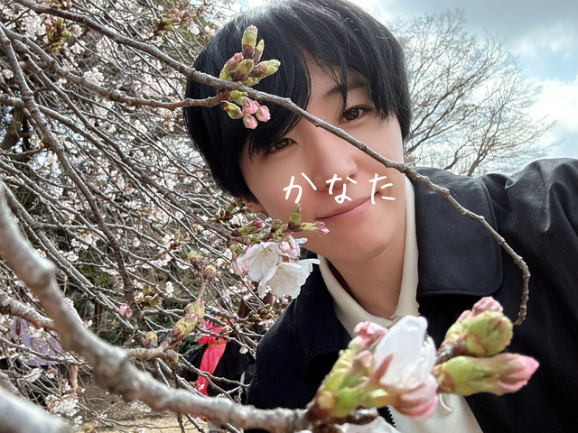 好きな花ベスト3