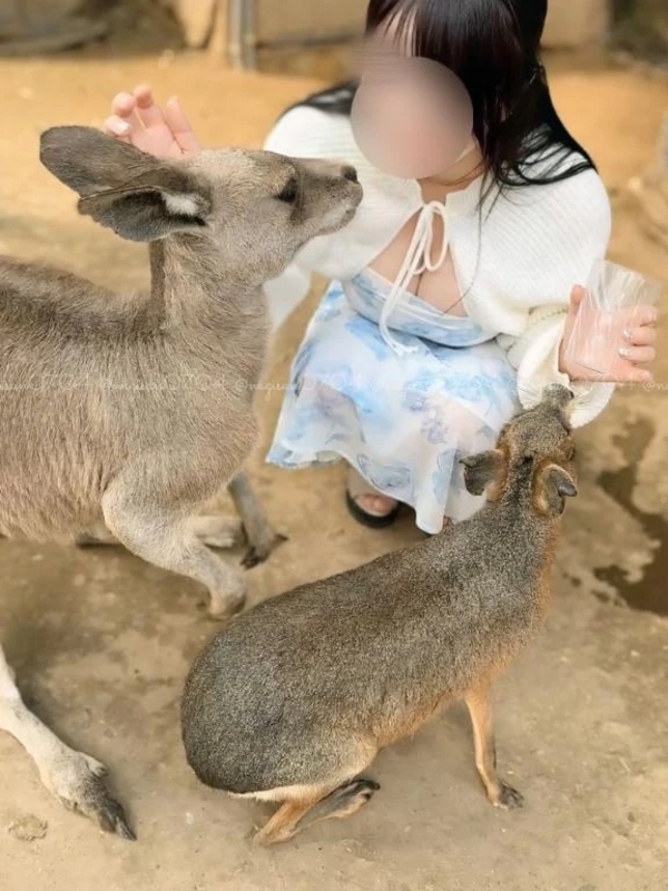 【本日𝟏𝟎/𝟐𝟓(土)𝟏𝟒:𝟐𝟎キャンセル発生しています💎】