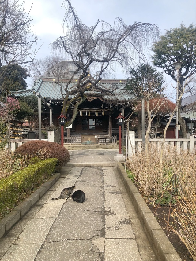 神社でしてはいけない事