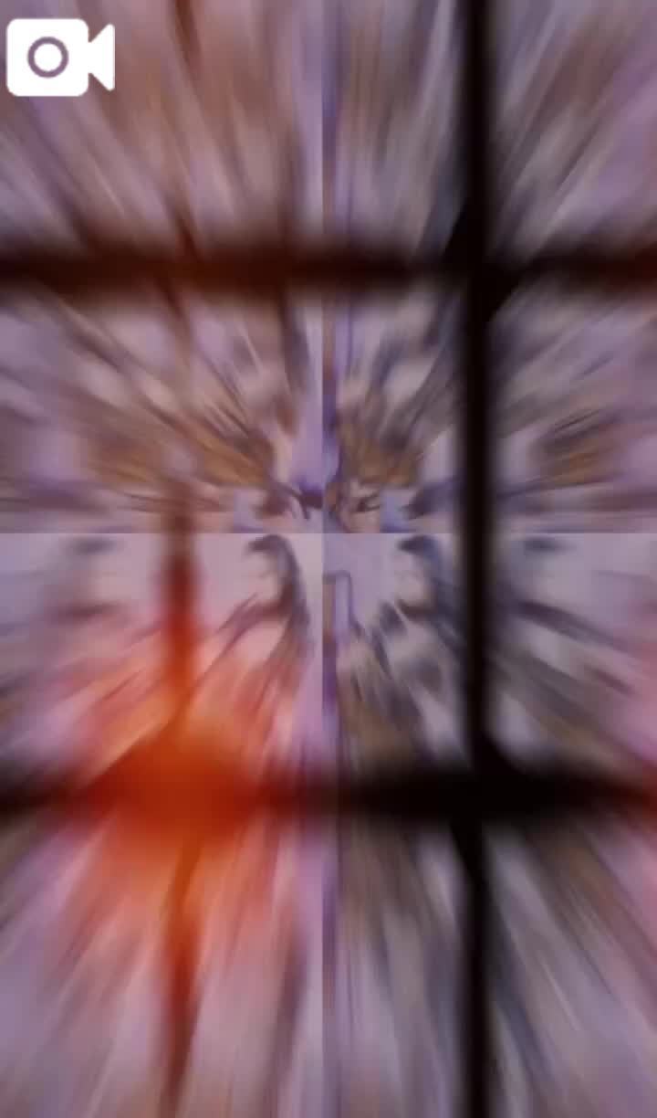 🕊 フォローしてくれないとイタズラしちゃうぞ🎃