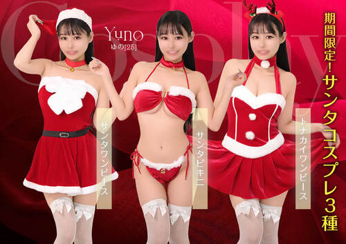 期間限定！サンタコスプレ3種