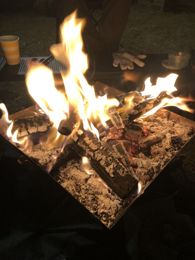 キャンプ⛺️