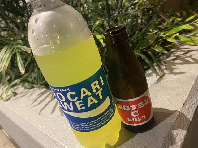 整いました