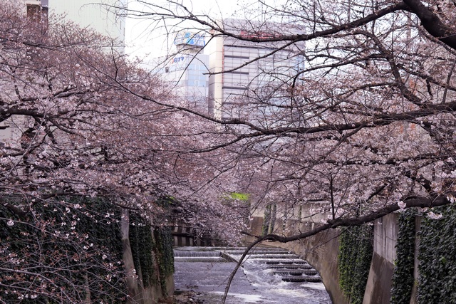 目線の先