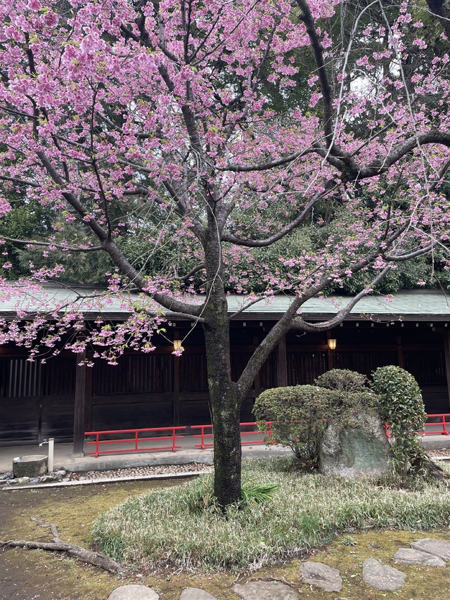 春を待ちわびて