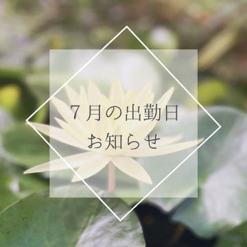 7月の予定はこちら🤍