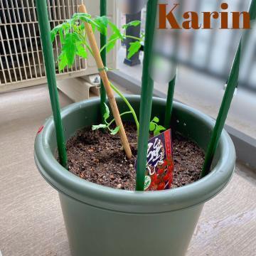 💛成長日記だよ〜〜🍅💛