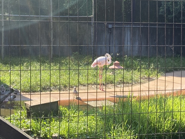 気配りと心配り