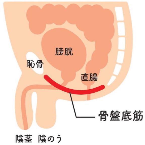 実は