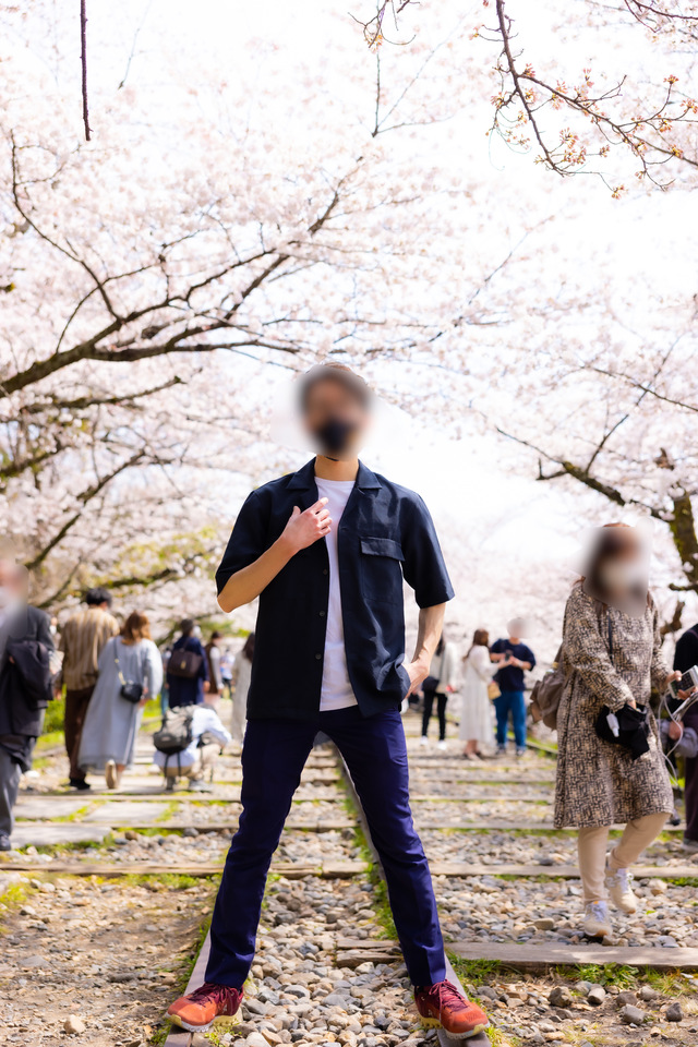 桜を見てます。身体は見てません//