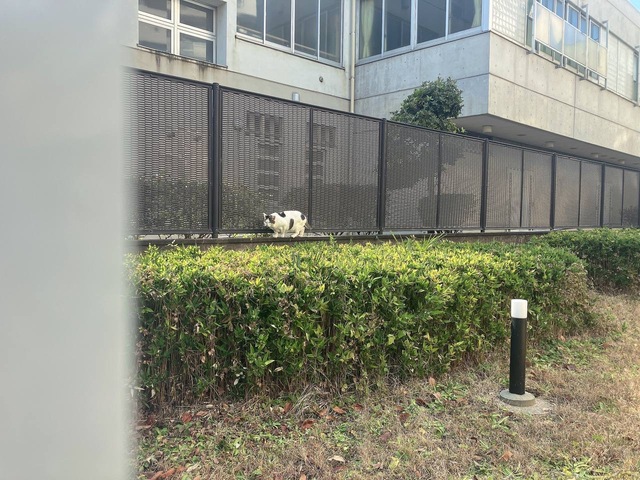 写真集第九弾📸
