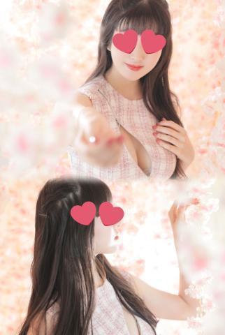 おはよう(=^・^=)