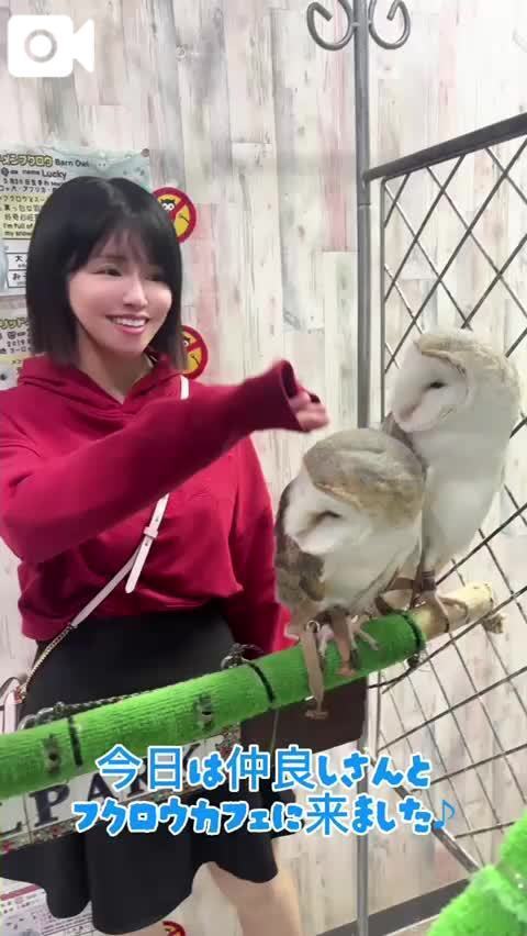 📣押してもえの生声聞いてね🔽