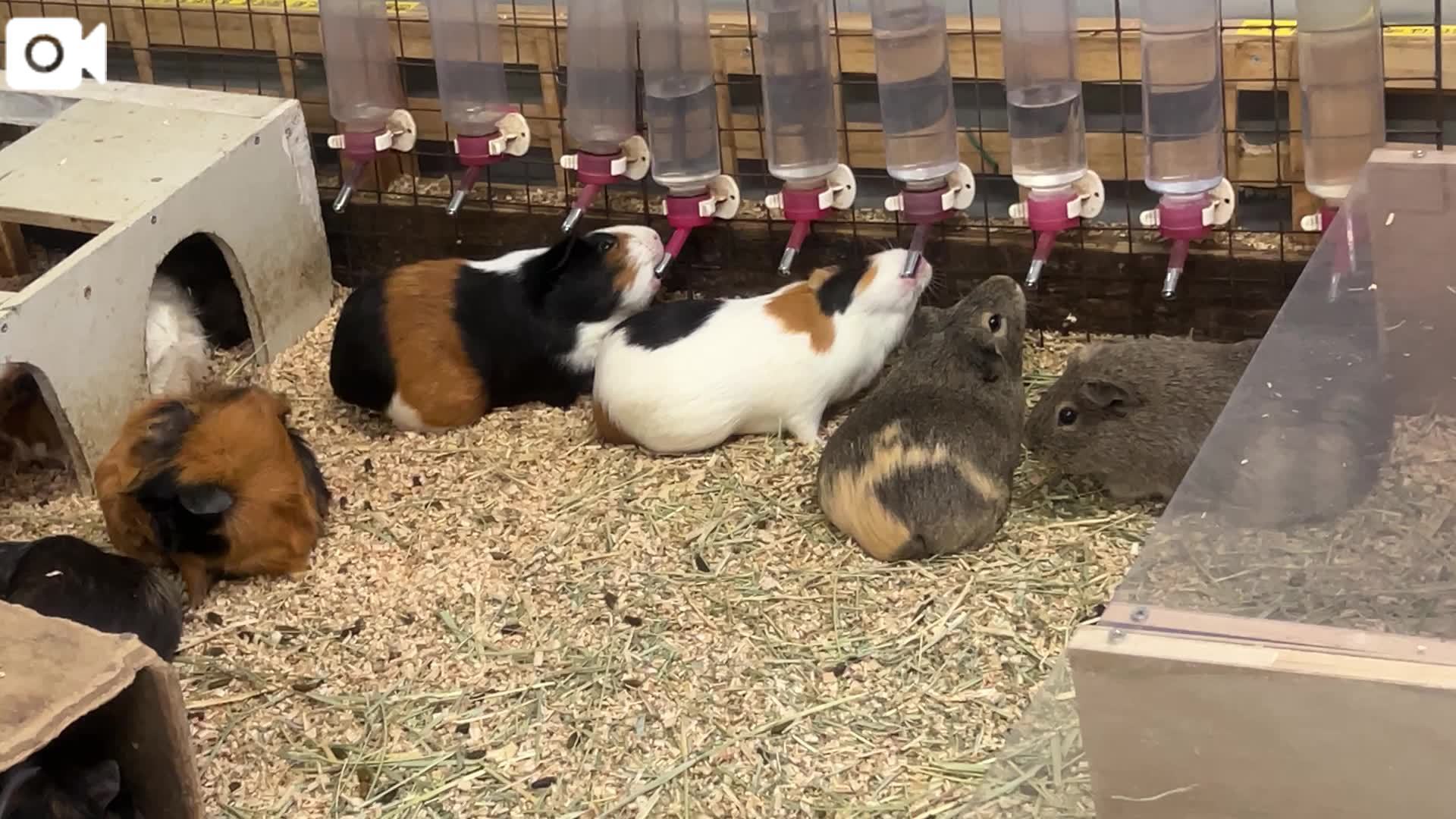 1番の推しは⋯♡♡