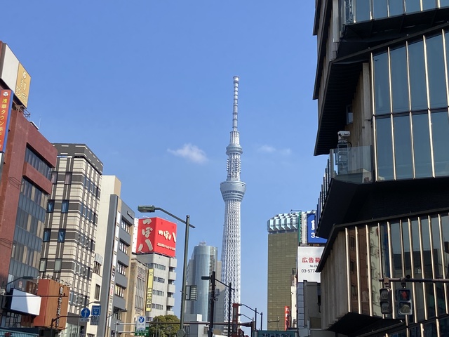 お散歩日和