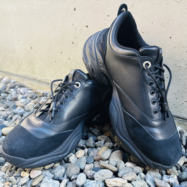 長いお付き合いになりそうなスニーカー