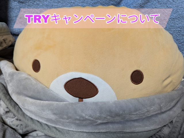 初指名TRYキャンペーンについて