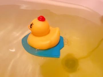 昨日はありがとうございました！
