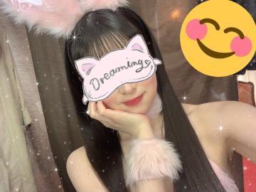 撮影に(=^・^=)?