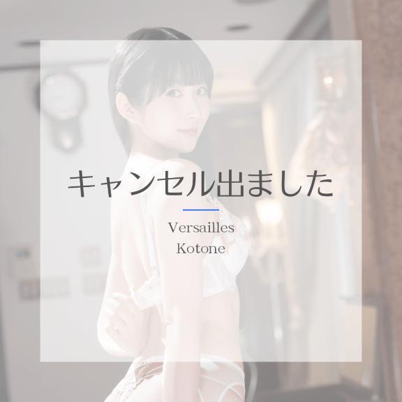 🎵琴音🎵　琴音のご案内状況