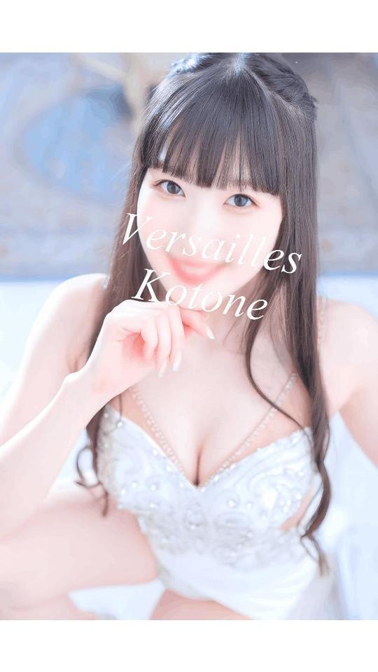 🎵琴音🎵　琴音のご案内状況