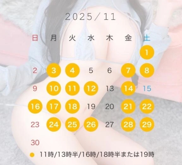 11月の予定✨