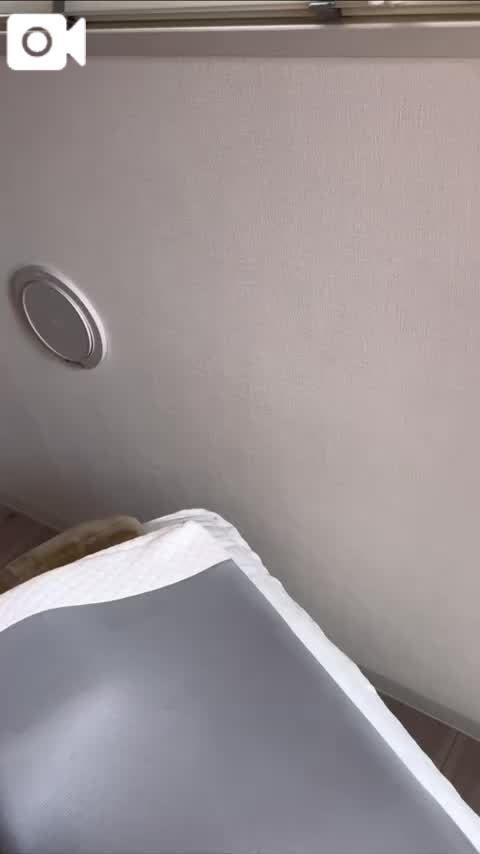 お兄さんのこと見てたよ👀❓