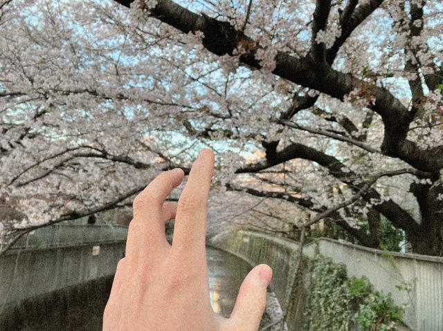 直接ではないけれど