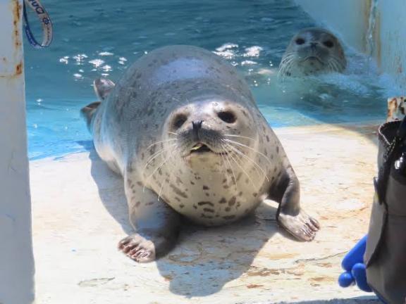動物大好き♡♡