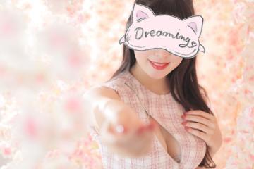 おはよう(=^・^=)