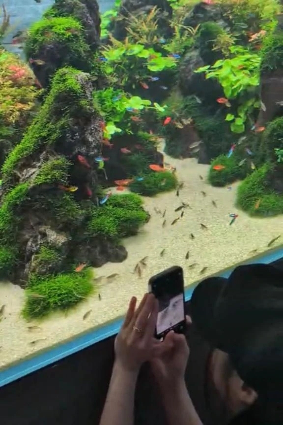 🐠夏の水族館の快適さ🐡