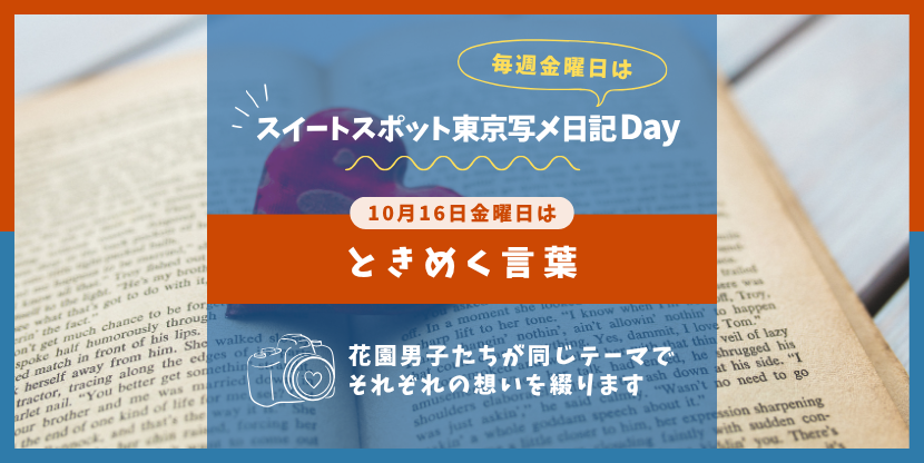 写メ日記