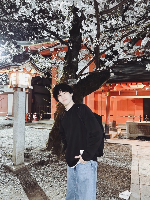 桜🌸