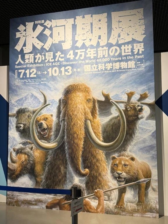 氷河期展‼️🧊