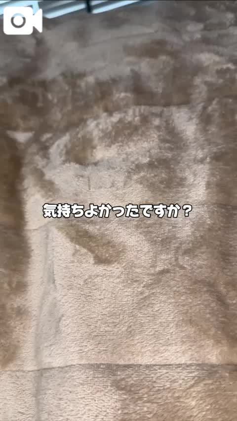 私プロなので💜
