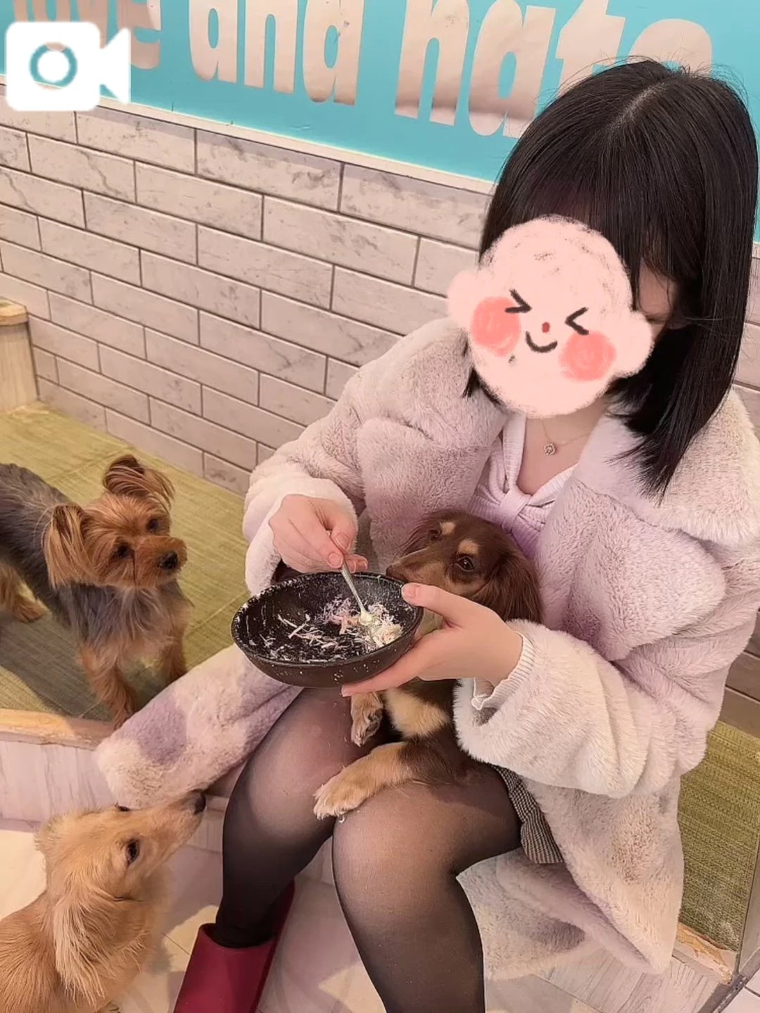 ❤︎.癒し