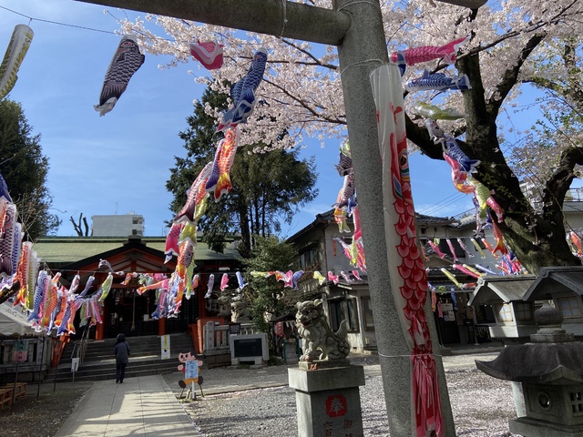 気が早い？？