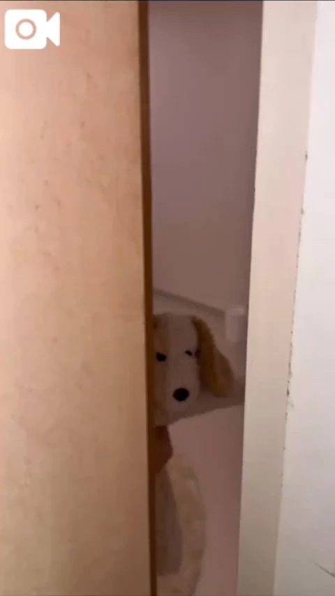 30分で間に合うかな？