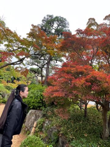 《11月出勤予定》