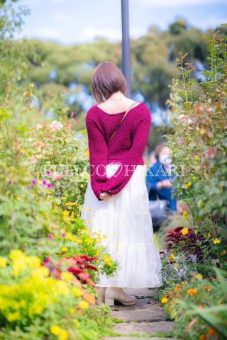 ?そろそろ桜日々より?