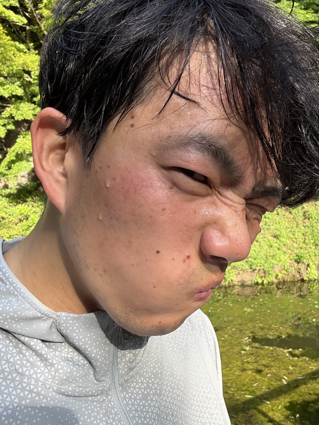🇯🇵 憲法記念日🇯🇵