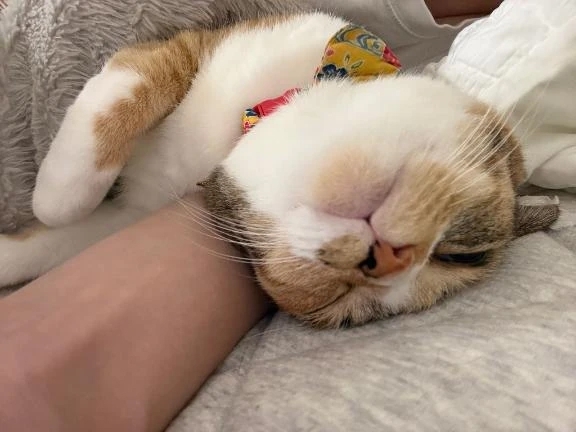 どうしても♡