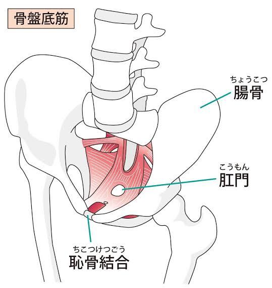アレの使い方