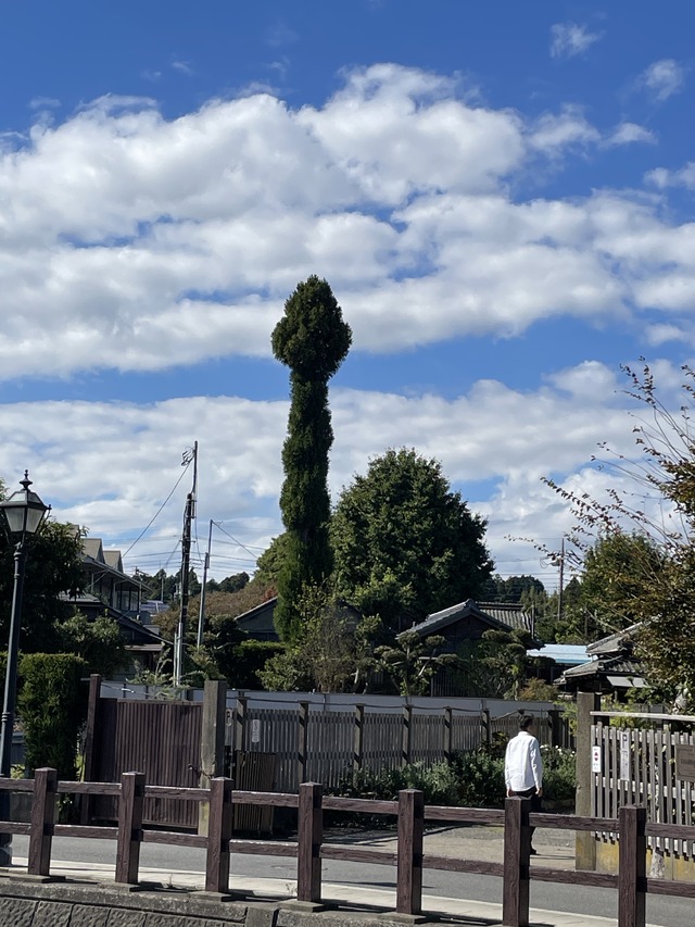 翔の翔