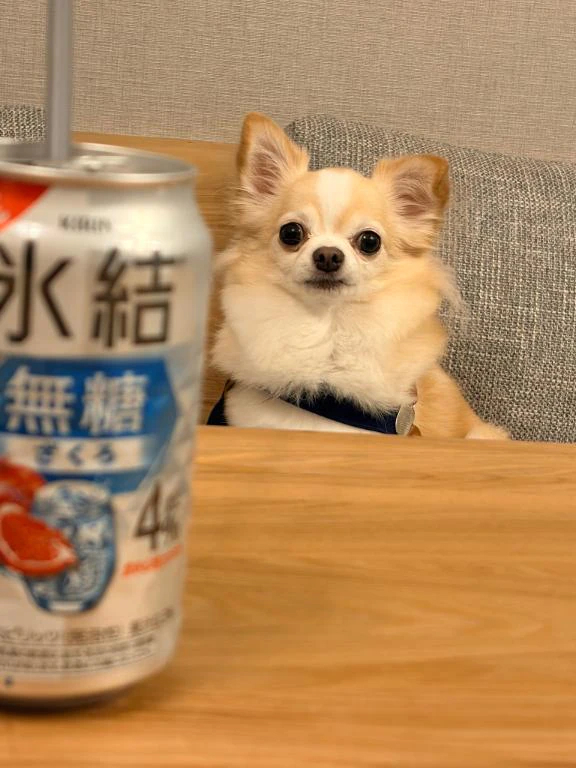 11月、12月のお約束があるお兄様