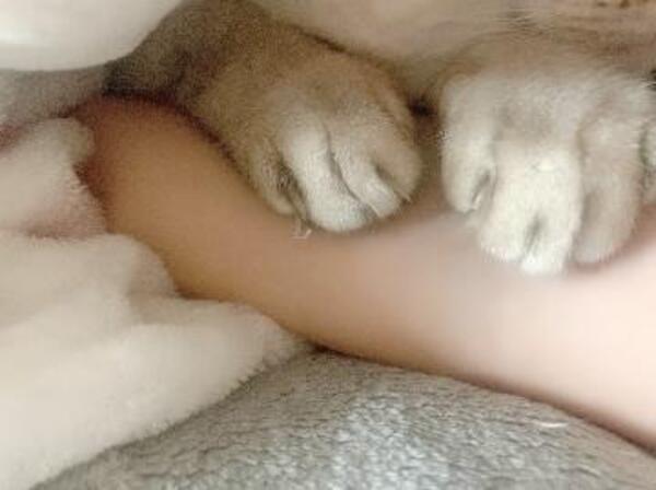 腕枕