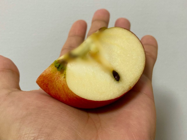 なんでそんなところに、？